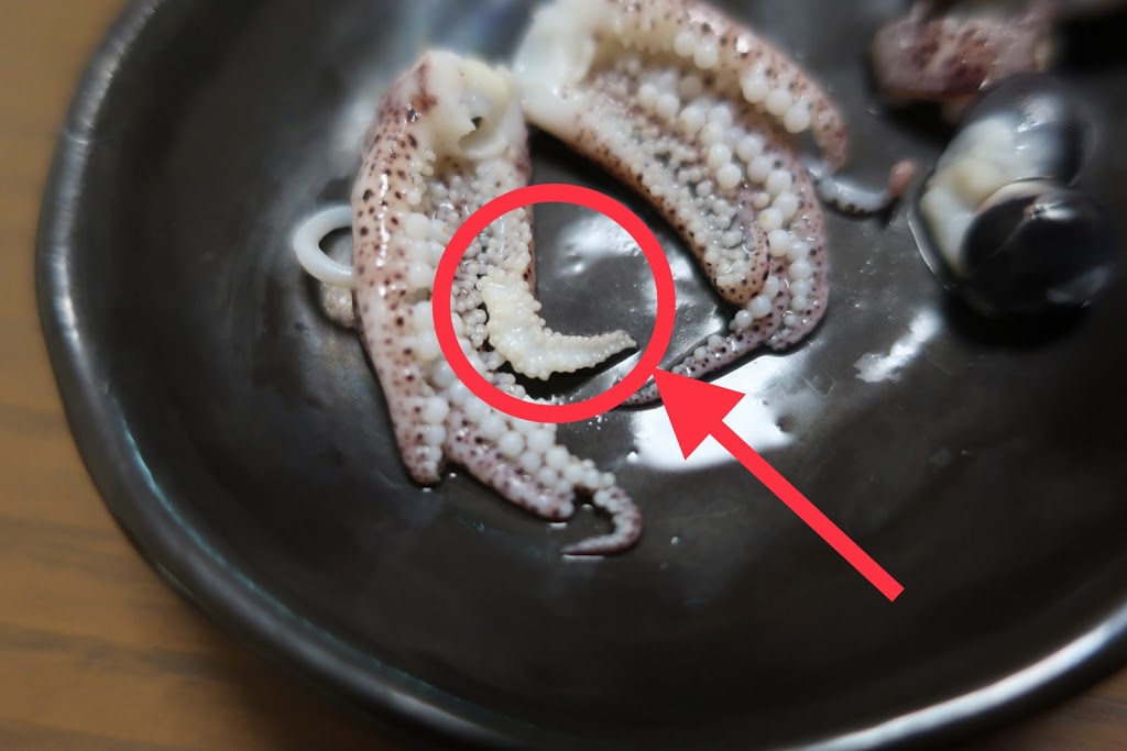 f:id:maicos555:20201228120318j:plain