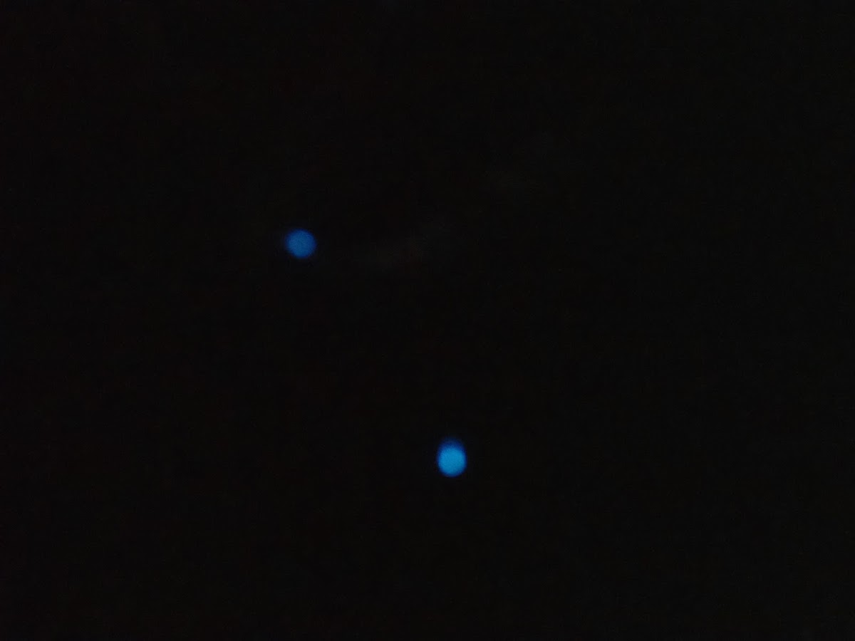 f:id:maicos555:20201229112350j:plain