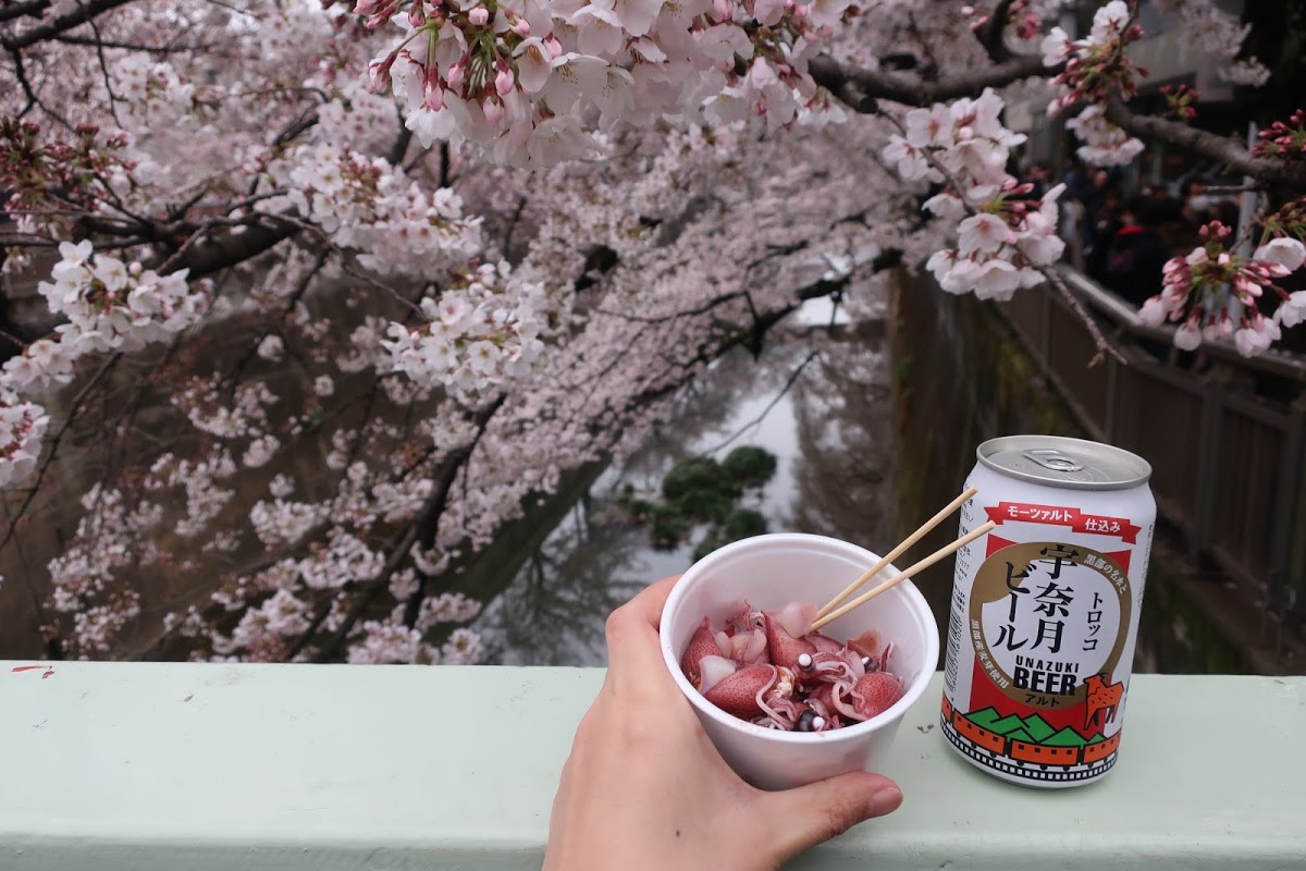 f:id:maicos555:20201229145115j:plain