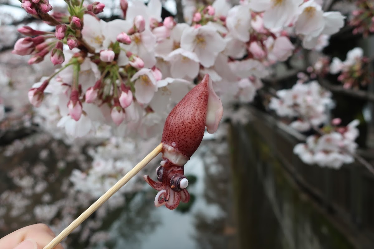 f:id:maicos555:20201229145129j:plain