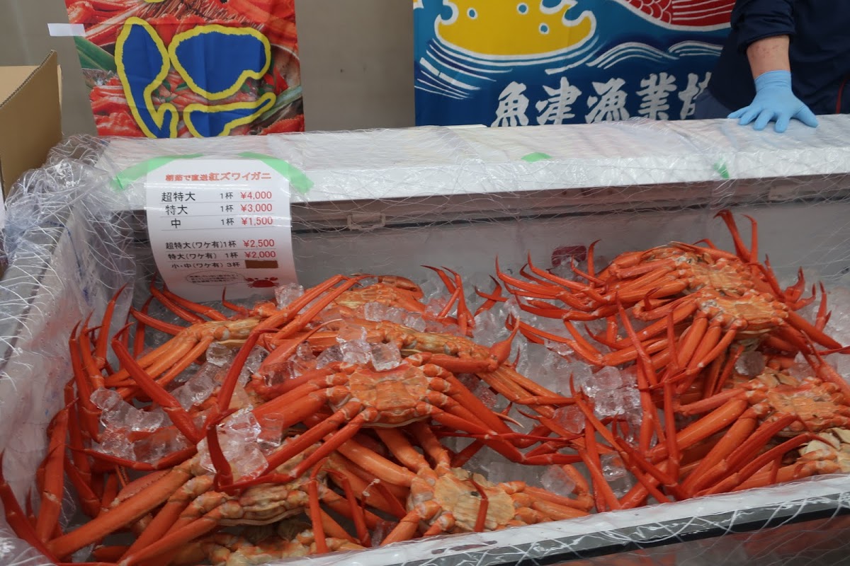 f:id:maicos555:20201229145157j:plain