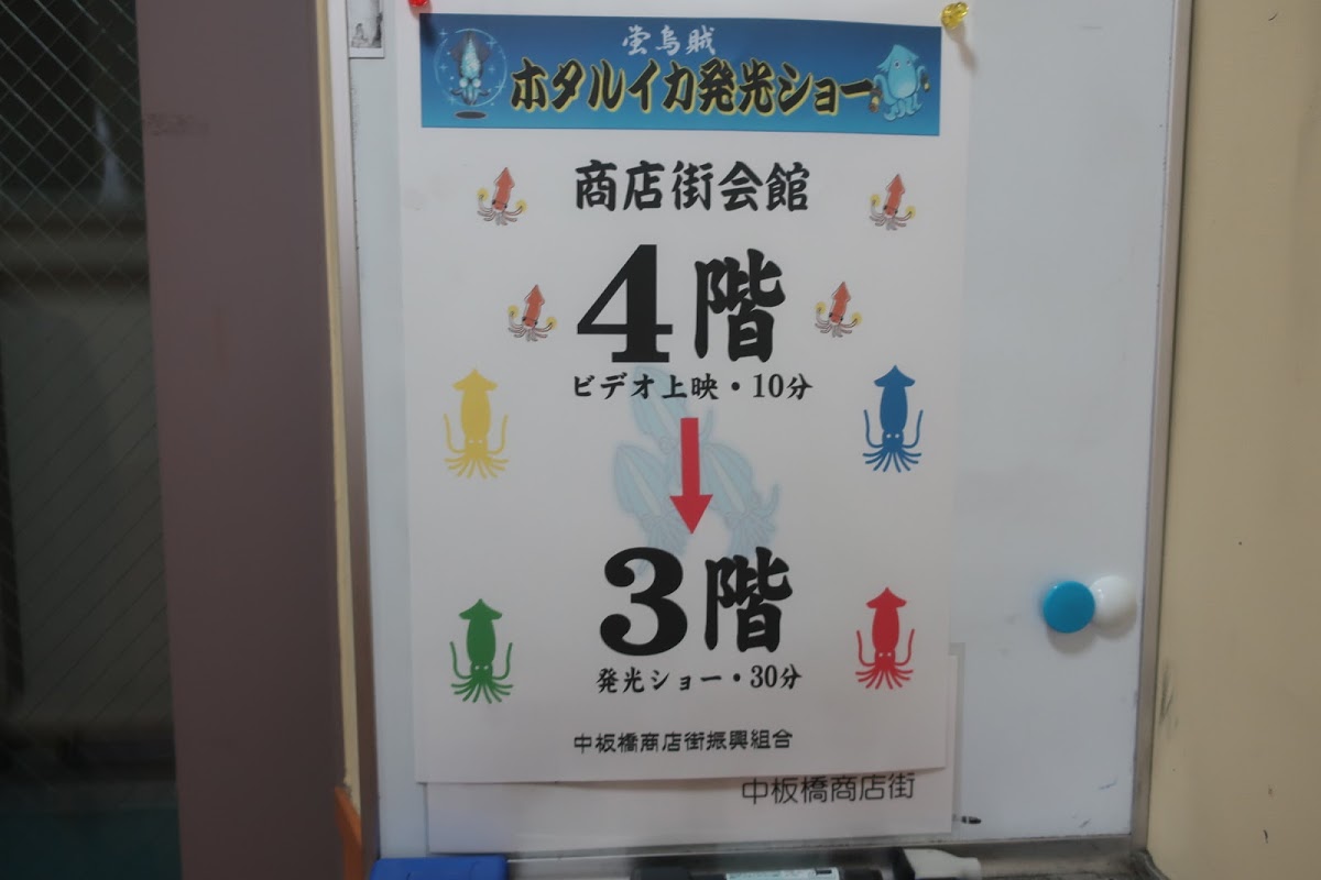 f:id:maicos555:20201229145225j:plain