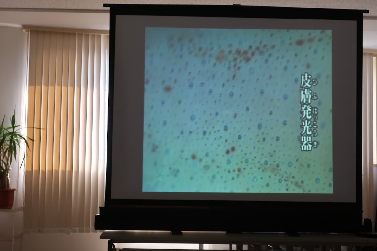 f:id:maicos555:20201229145253j:plain