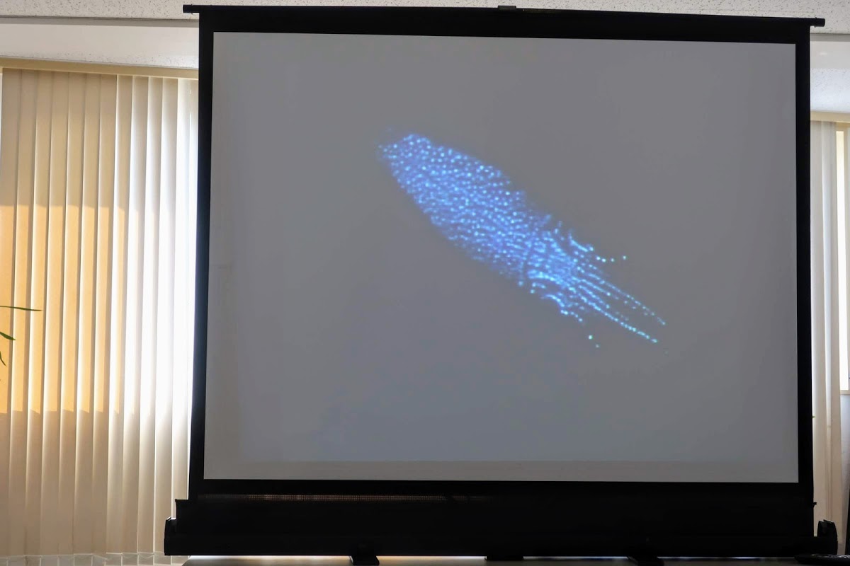 f:id:maicos555:20201229145308j:plain