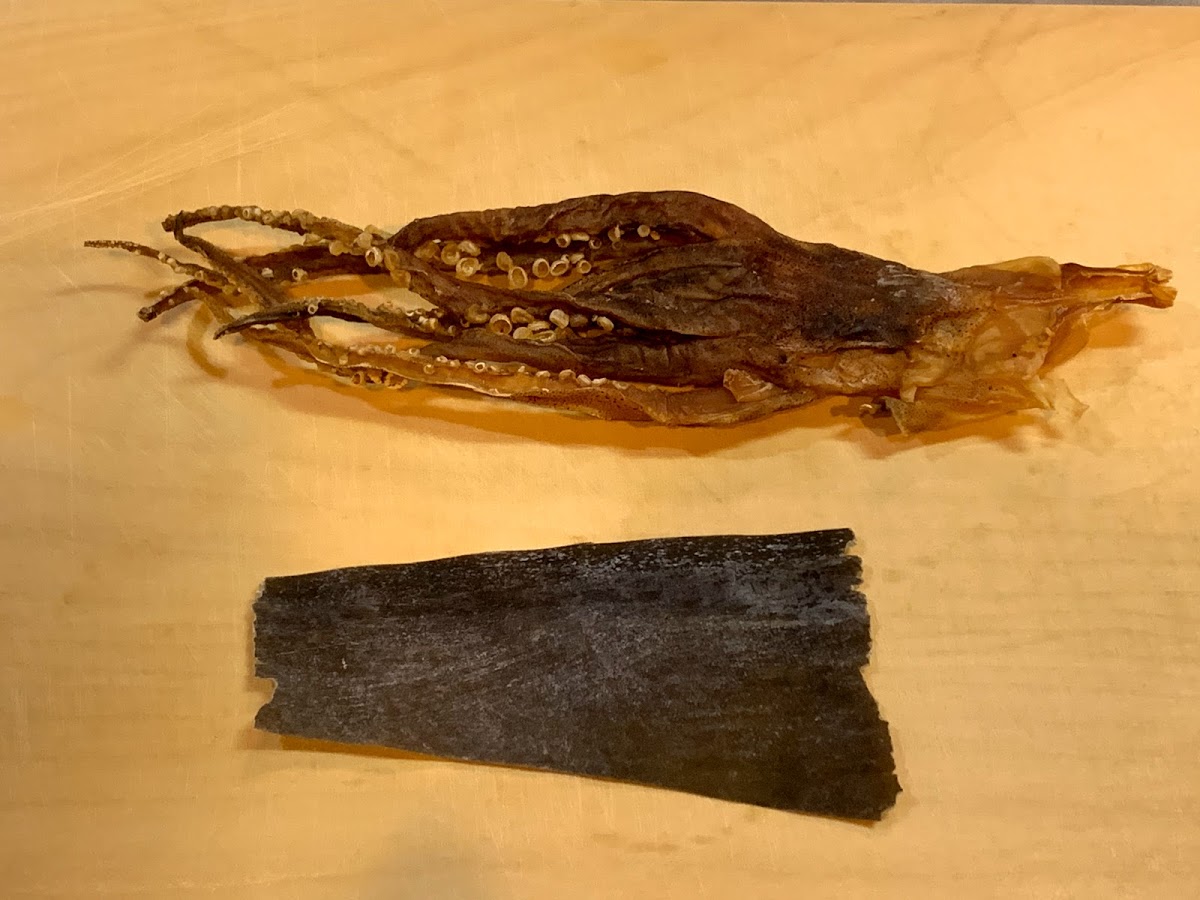 f:id:maicos555:20210102145632j:plain