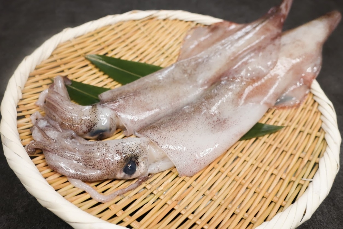 f:id:maicos555:20210224161846j:plain