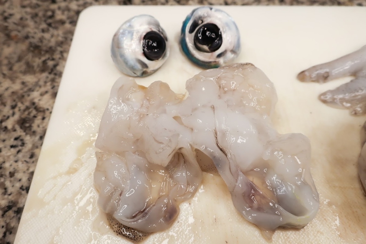 f:id:maicos555:20210224161902j:plain