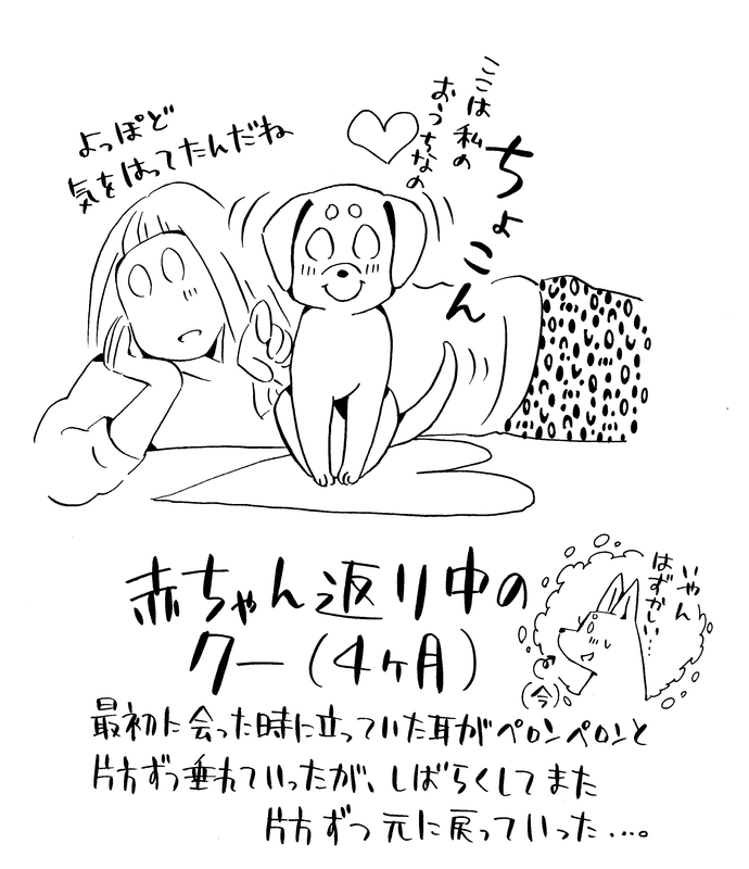 クーの赤ちゃん返り 毎日ダラday