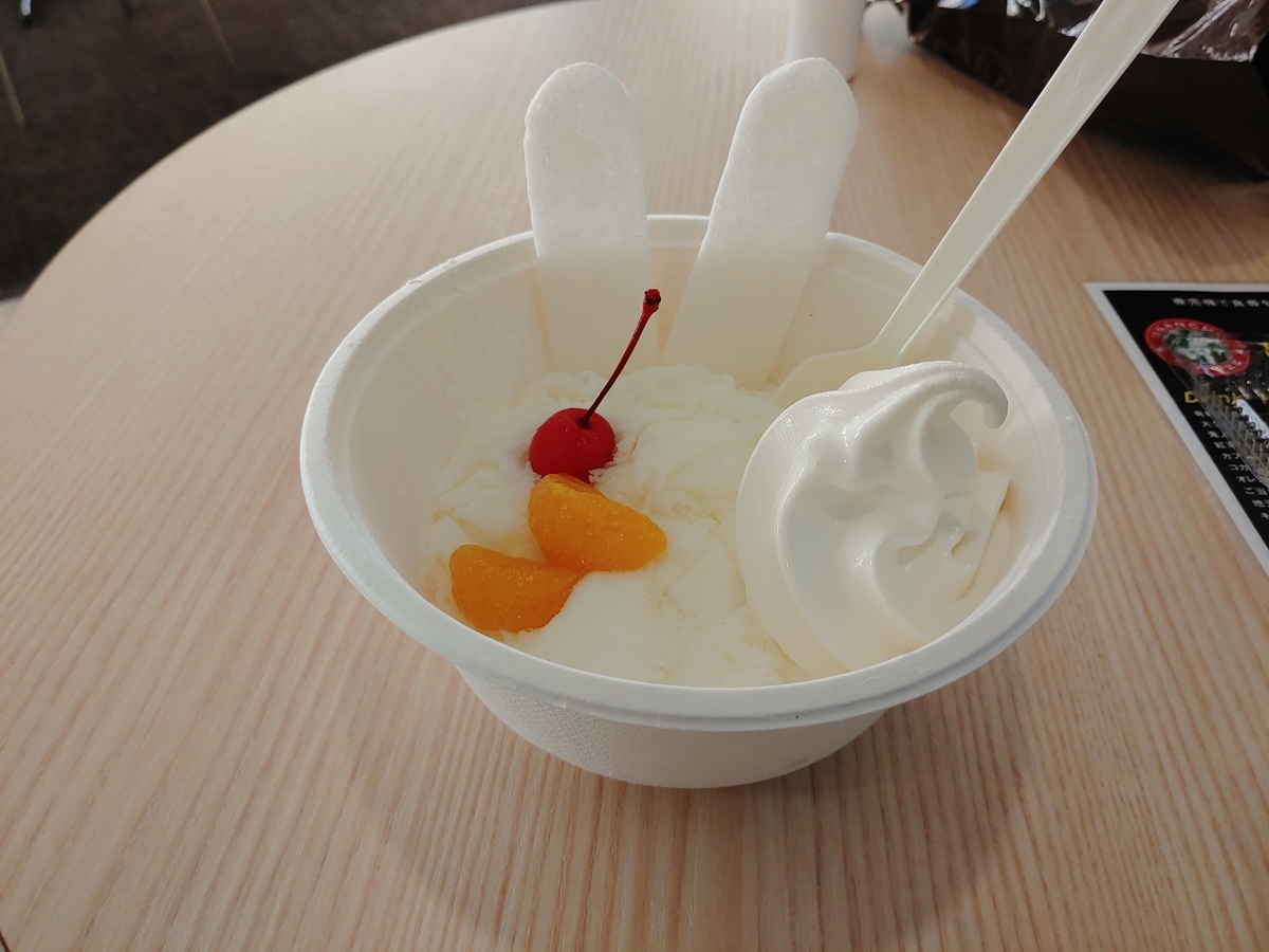 f:id:maikeruexe:20201123231244j:plain