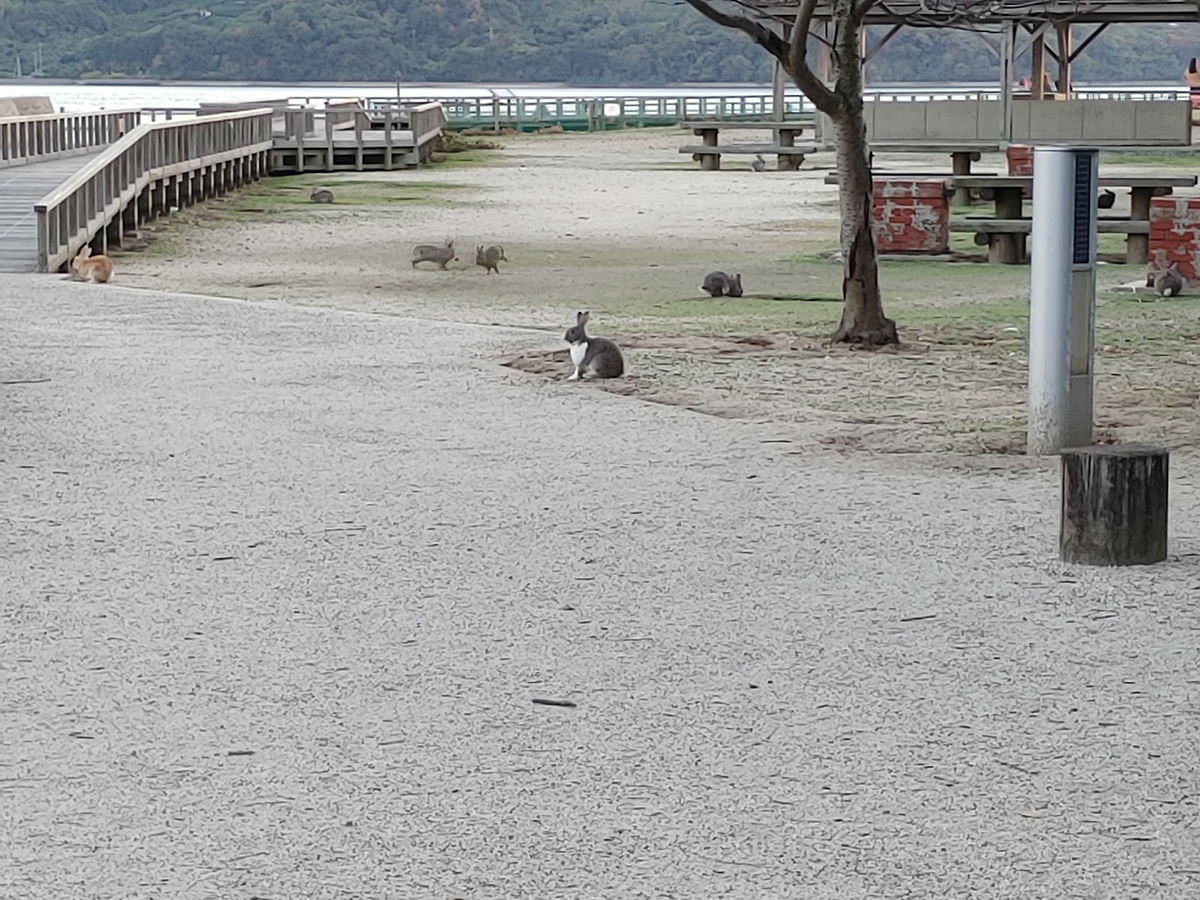 f:id:maikeruexe:20201123233657j:plain