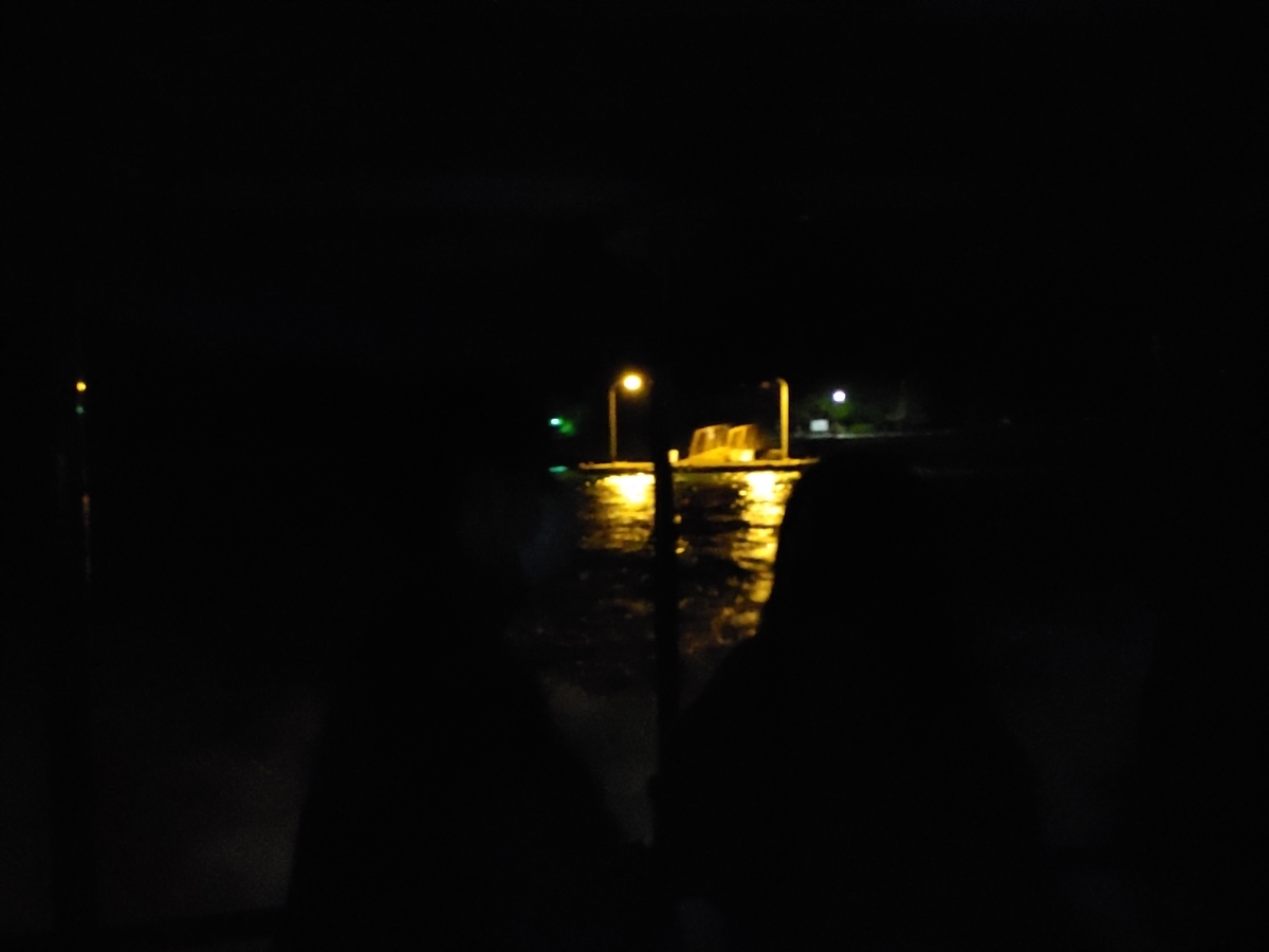 f:id:maikeruexe:20201123233706j:plain