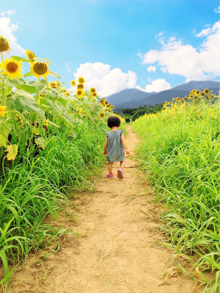 f:id:maiko_numa:20200106102902j:image f:id:maiko_numa:20200106102902j:image