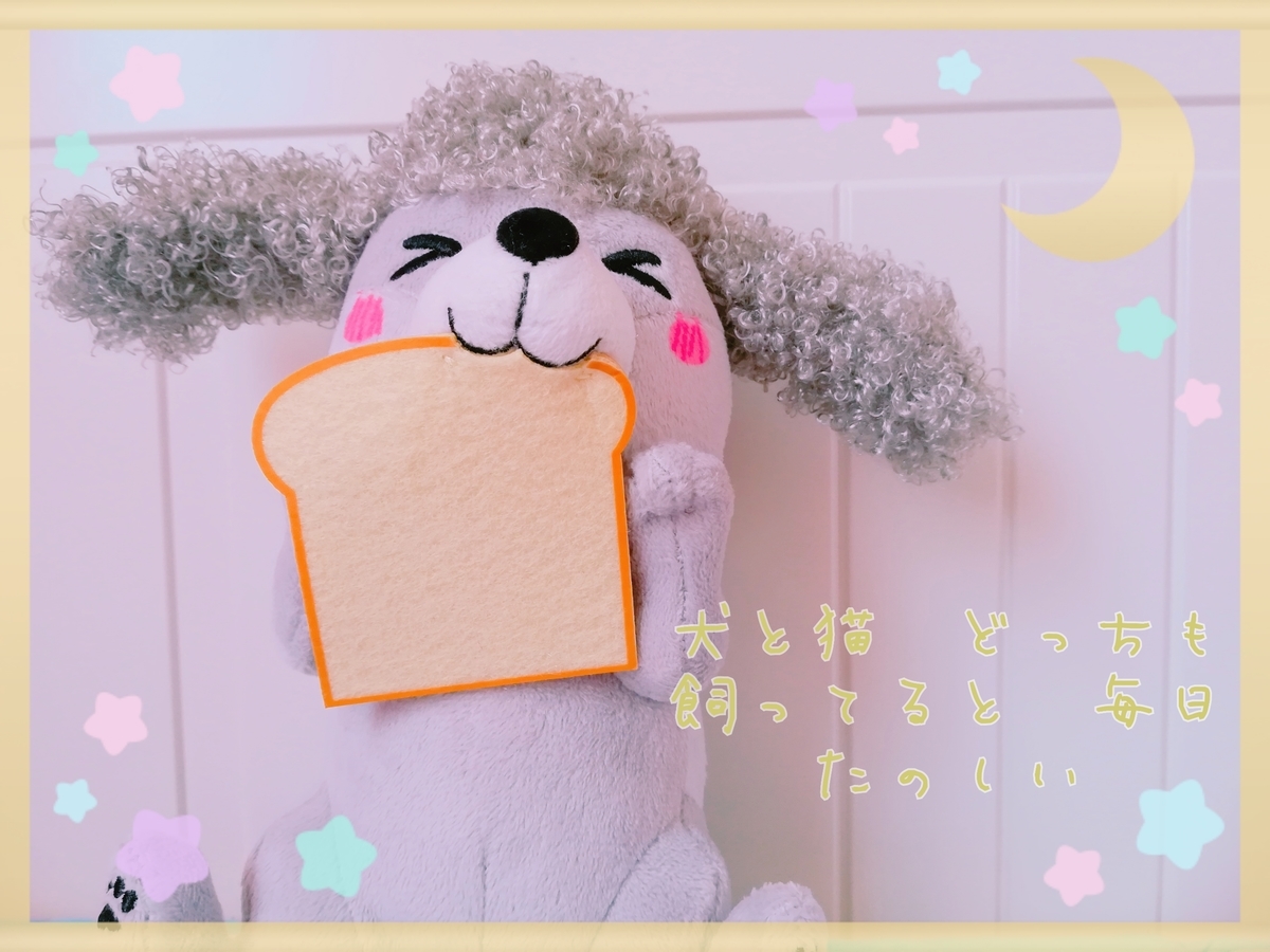 f:id:maiko_san:20200628011802j:plain f:id:maiko_san:20200628011802j:plain