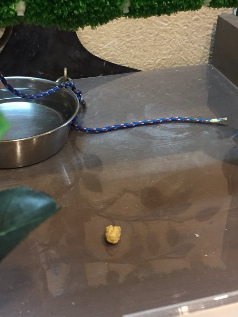 f:id:maikocho:20171001200158j:plain f:id:maikocho:20171001200158j:plain