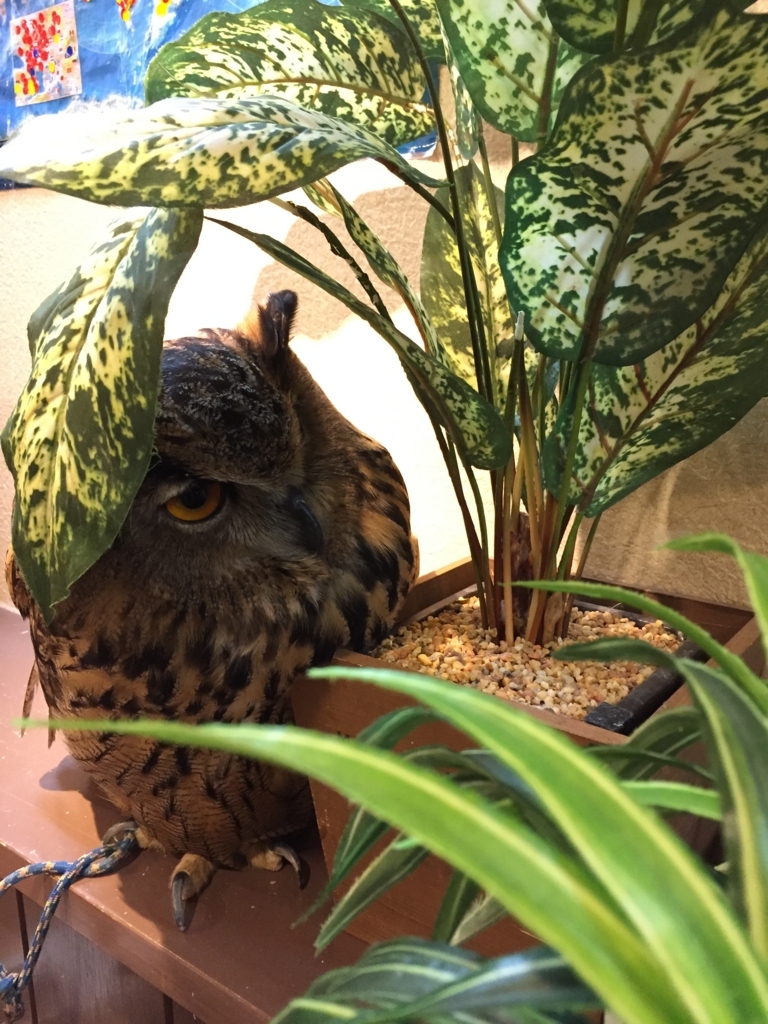 f:id:maikocho:20171001201537j:plain f:id:maikocho:20171001201537j:plain