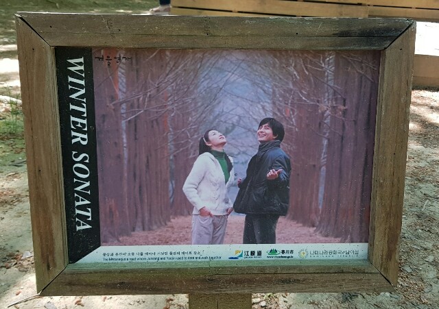 f:id:maikorea:20200122222502j:image