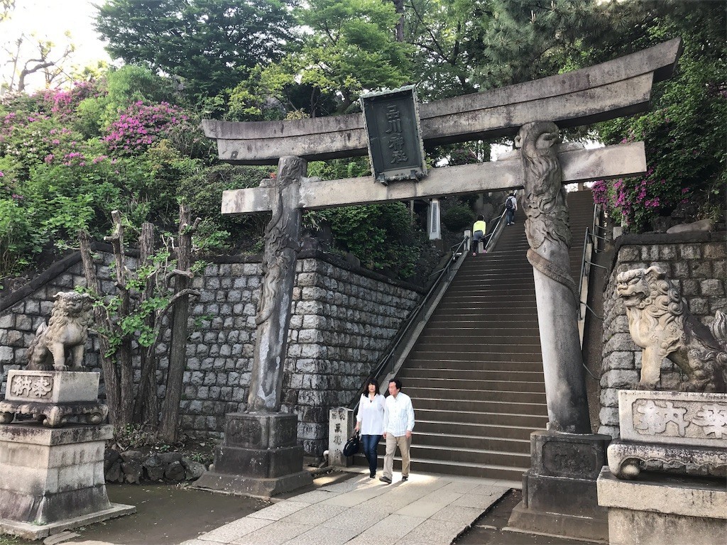 f:id:mailto1979:20190511132236j:image f:id:mailto1979:20190511132236j:image