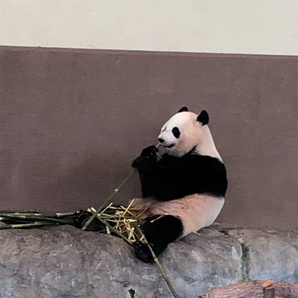 f:id:mailto1979:20190720141834j:image f:id:mailto1979:20190720141834j:image
