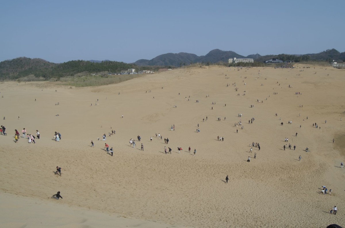 f:id:mailto1979:20200321153041j:plain f:id:mailto1979:20200321153041j:plain