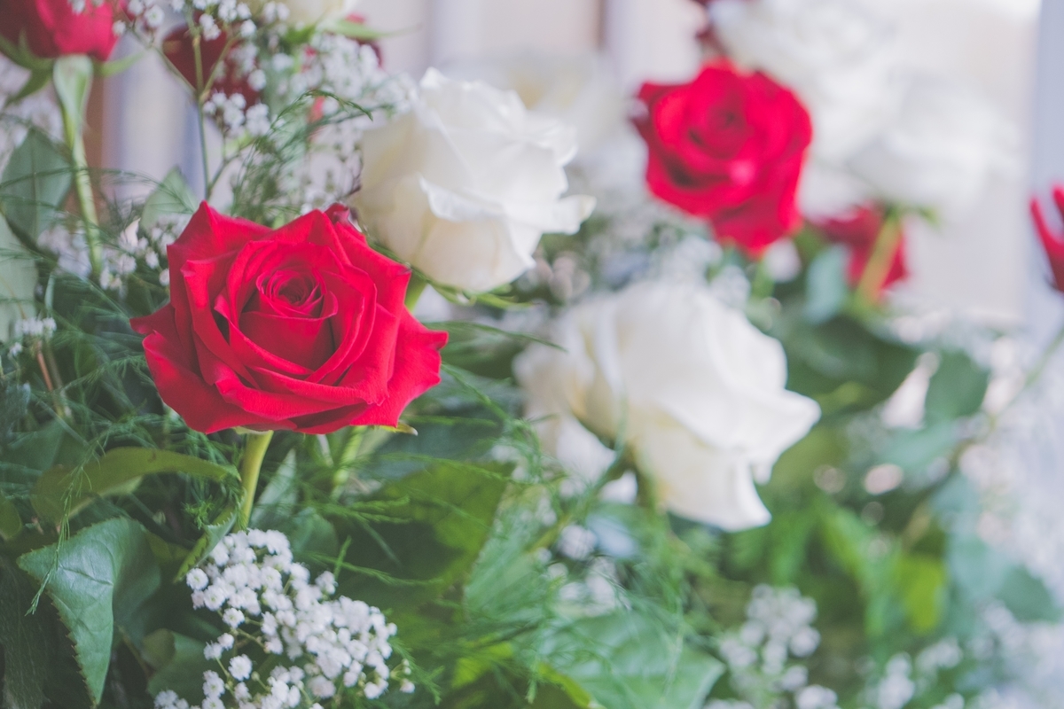 f:id:maimai118:20190710172933j:plain f:id:maimai118:20190710172933j:plain