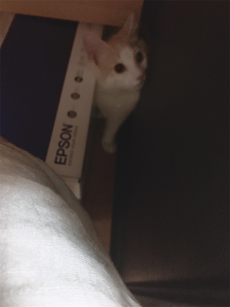 f:id:maimaiblogkun:20190718000347j:image