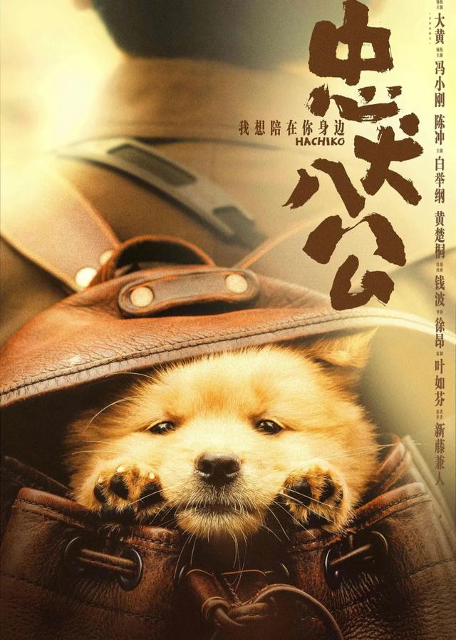 番犬ハチ公 忠犬八公 hachiko - 江湖迷人