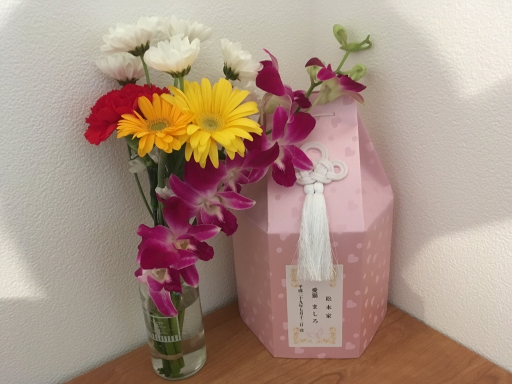 f:id:maimaimu:20170715041538j:plain f:id:maimaimu:20170715041538j:plain