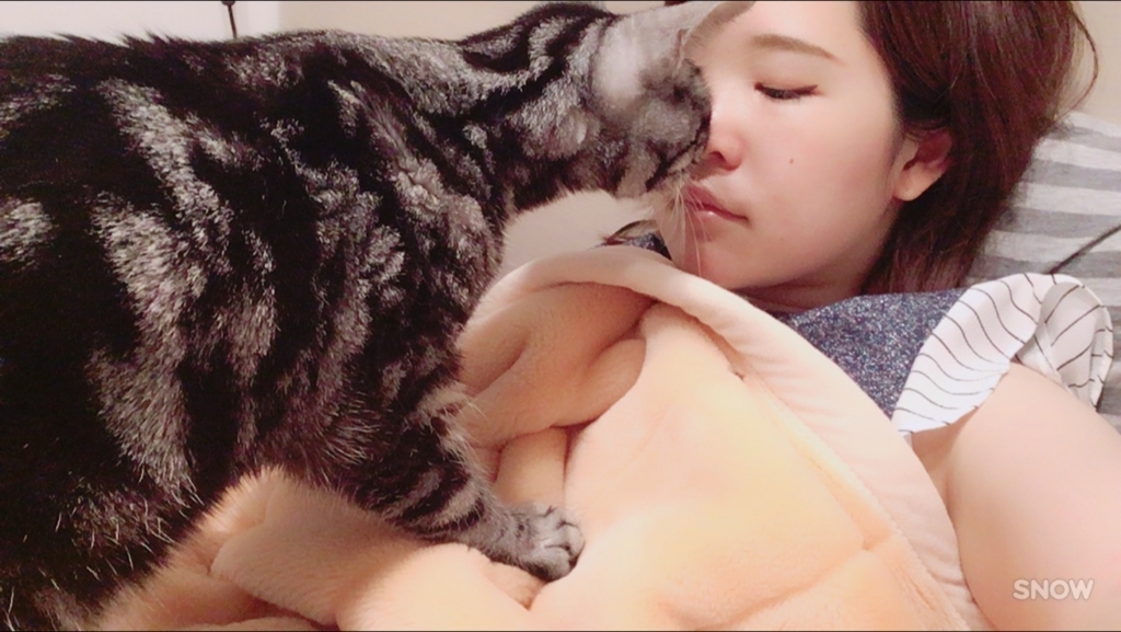 f:id:maimaimu:20170715042050j:plain f:id:maimaimu:20170715042050j:plain