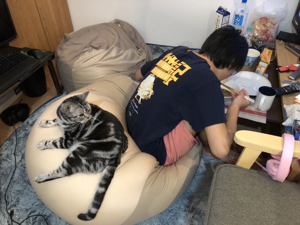 f:id:maimaimu:20180603233625j:plain f:id:maimaimu:20180603233625j:plain