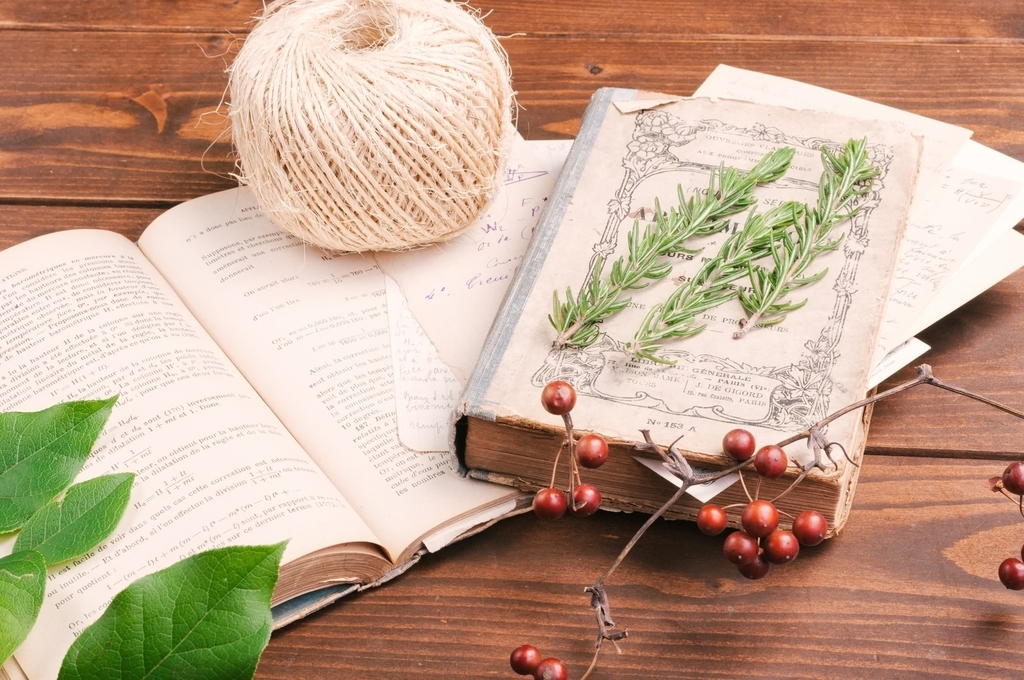 f:id:maimaimu:20181114142902j:plain