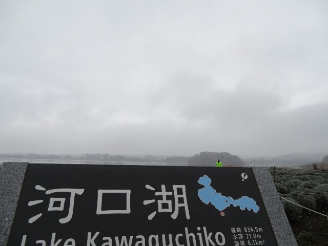 f:id:maimaiyupi:20151217110346j:image f:id:maimaiyupi:20151217110346j:image