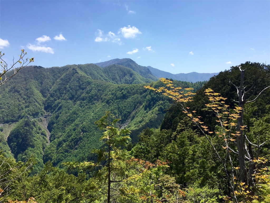 f:id:maimoi1231:20160514094745j:image f:id:maimoi1231:20160514094745j:image