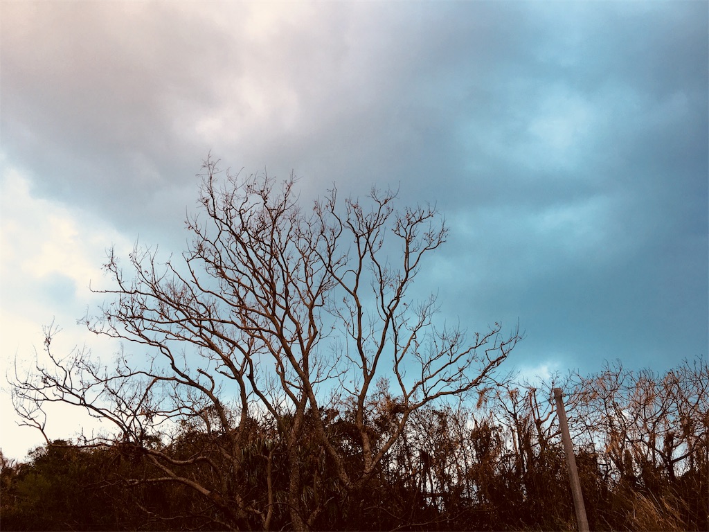 f:id:maimond:20181010231048j:image