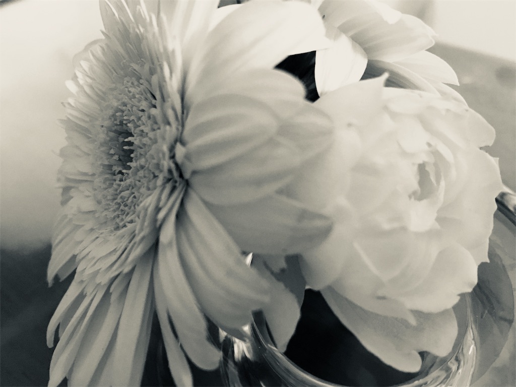 f:id:maimond:20181019003127j:image