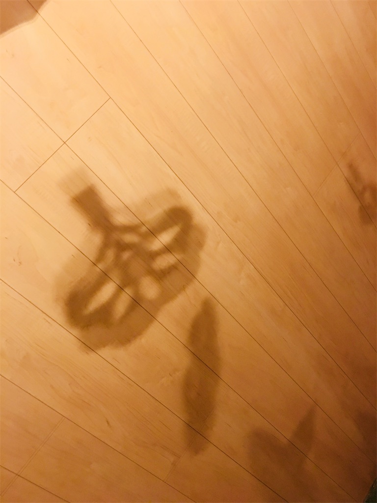 f:id:maimond:20181207003436j:image