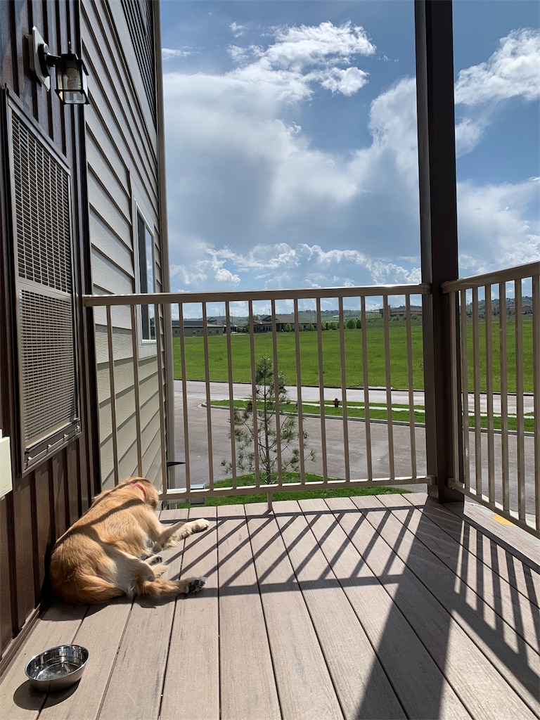 f:id:maimurara:20190624051804j:image f:id:maimurara:20190624051804j:image