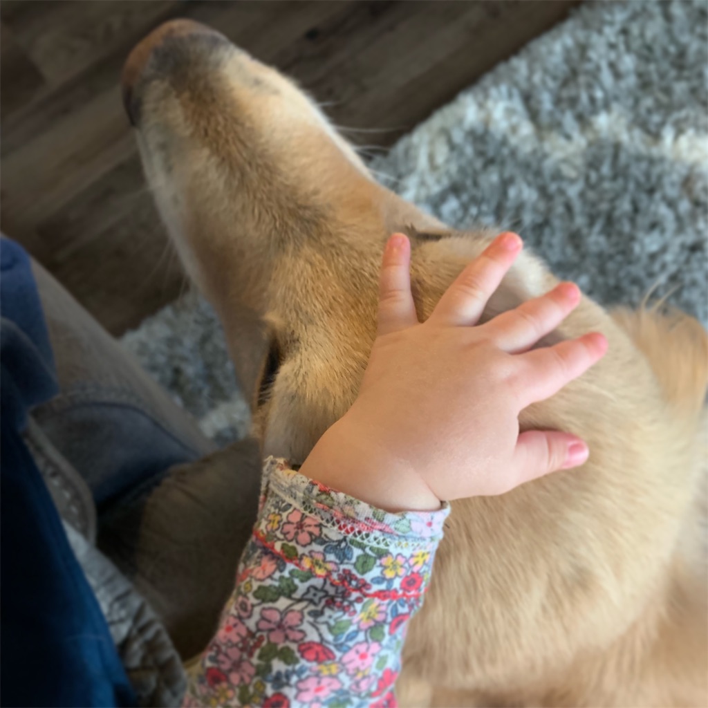 f:id:maimurara:20190624051807j:image f:id:maimurara:20190624051807j:image