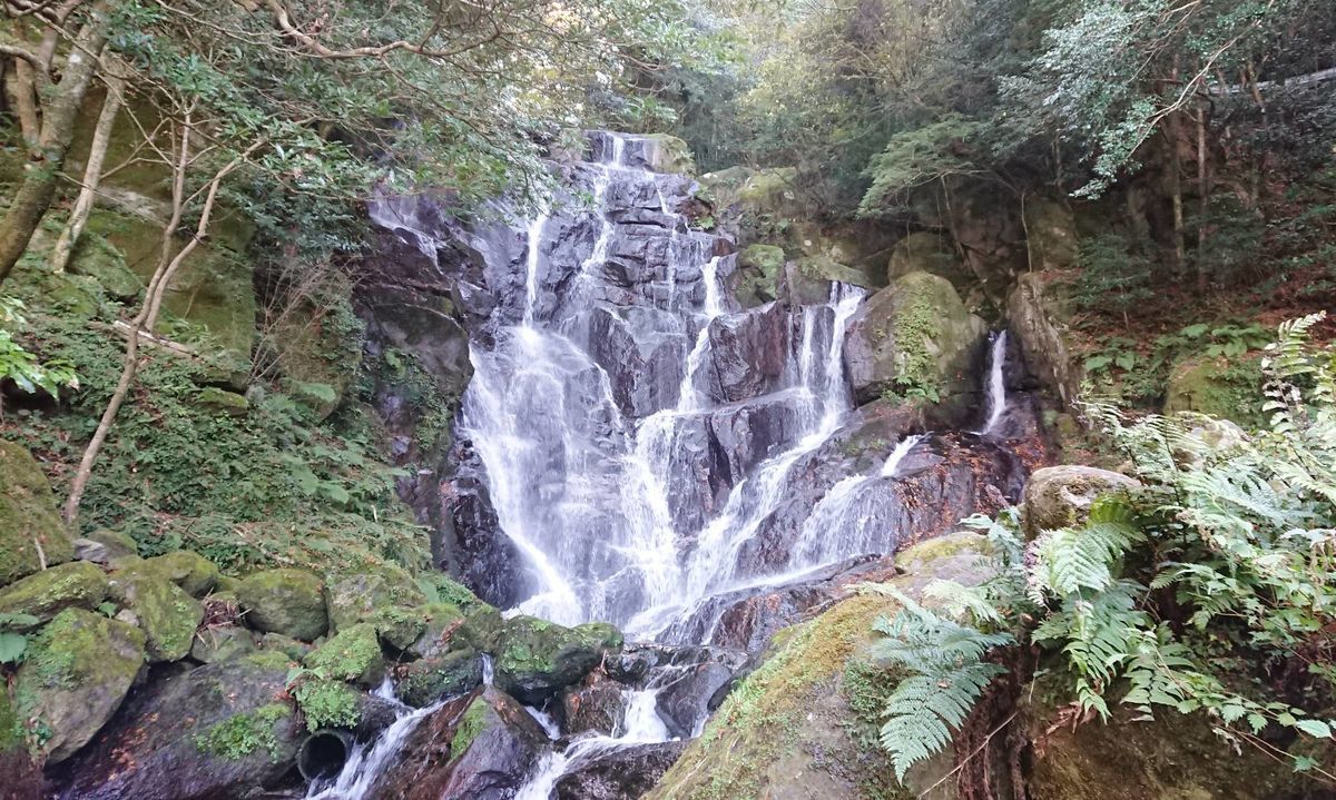 f:id:mainichi-caffe:20210529130237j:plain
