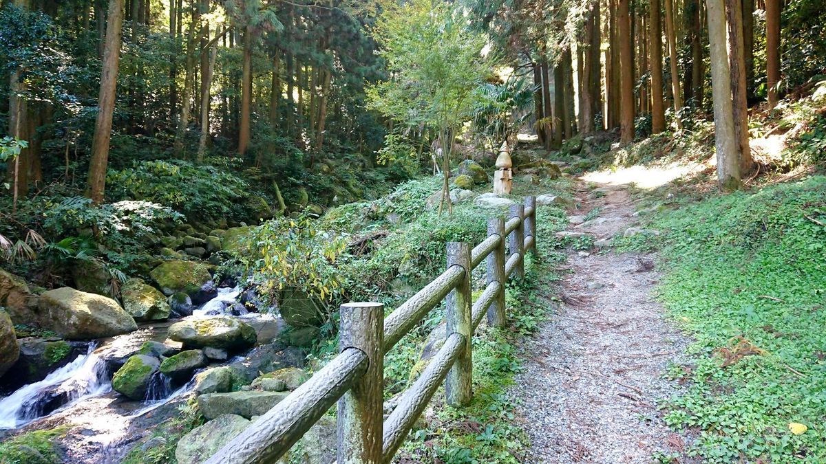 f:id:mainichi-caffe:20210529134625j:plain