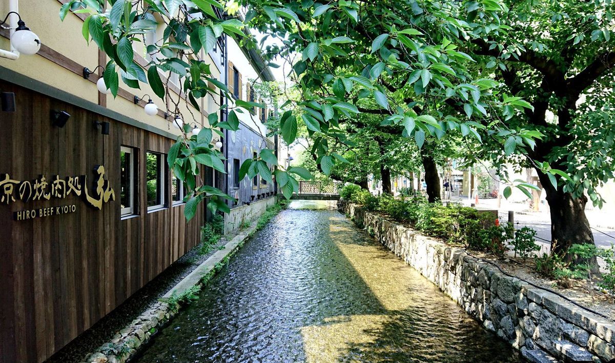 f:id:mainichi-caffe:20210627102556j:plain