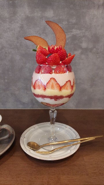 f:id:mainichi-glow:20250420024839j:image