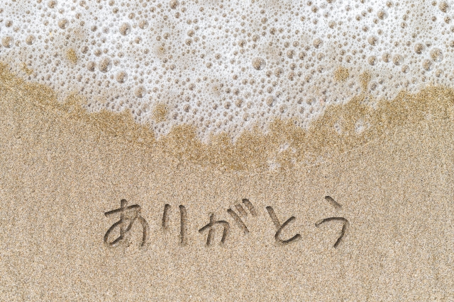 f:id:mainichi-kahchan:20190628194307j:plain