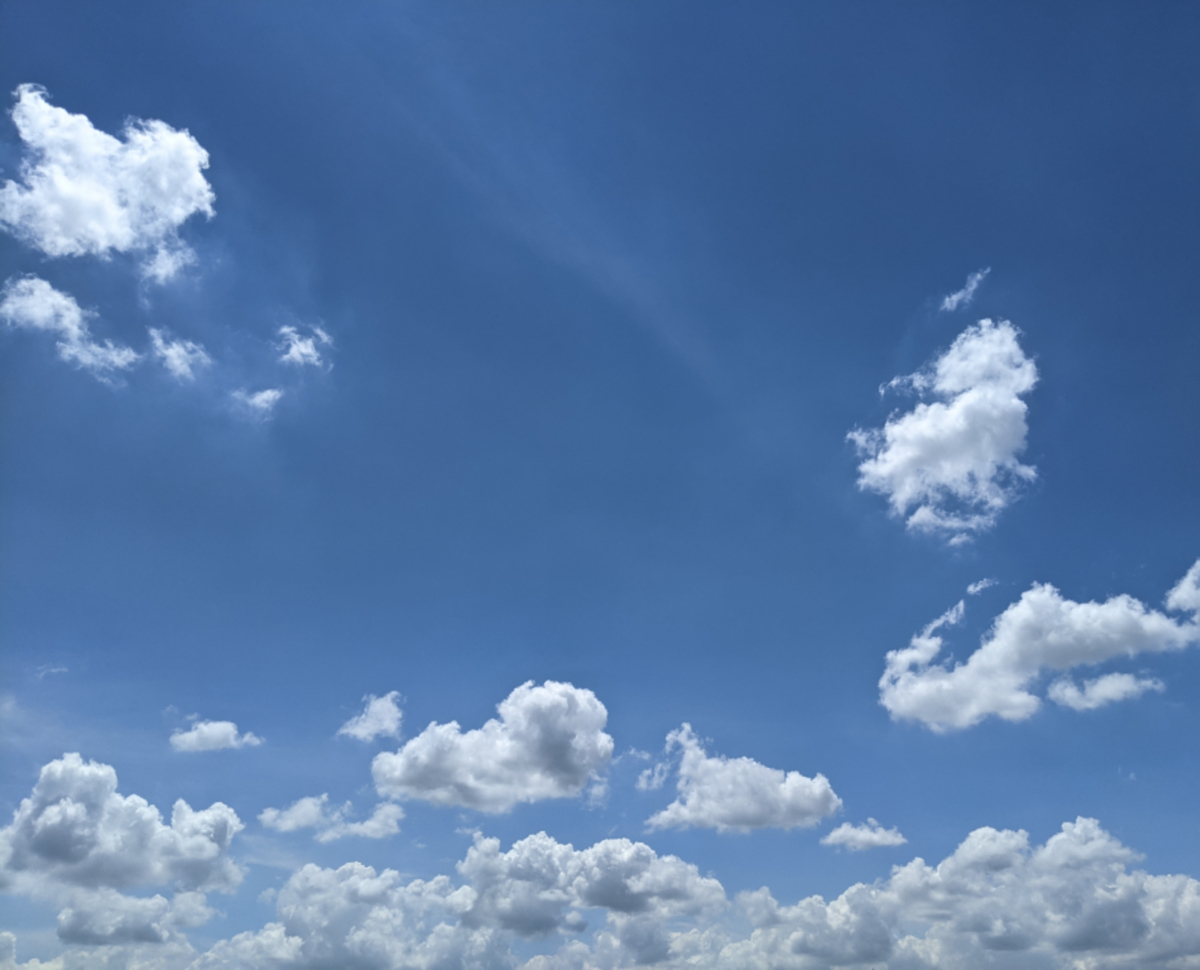 f:id:mainichi-unagi:20210717161527j:plain