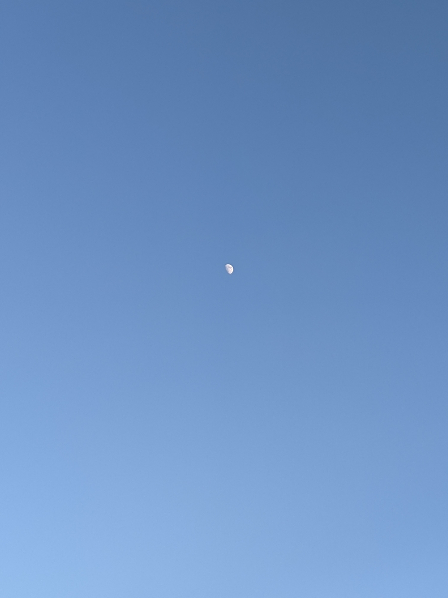 f:id:mainichi-unagi:20210719225156j:plain