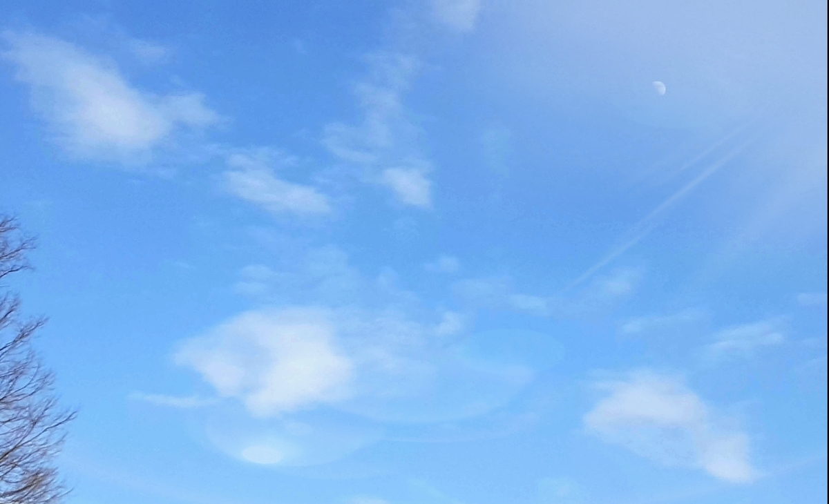 f:id:mainichi4:20210123185536j:plain