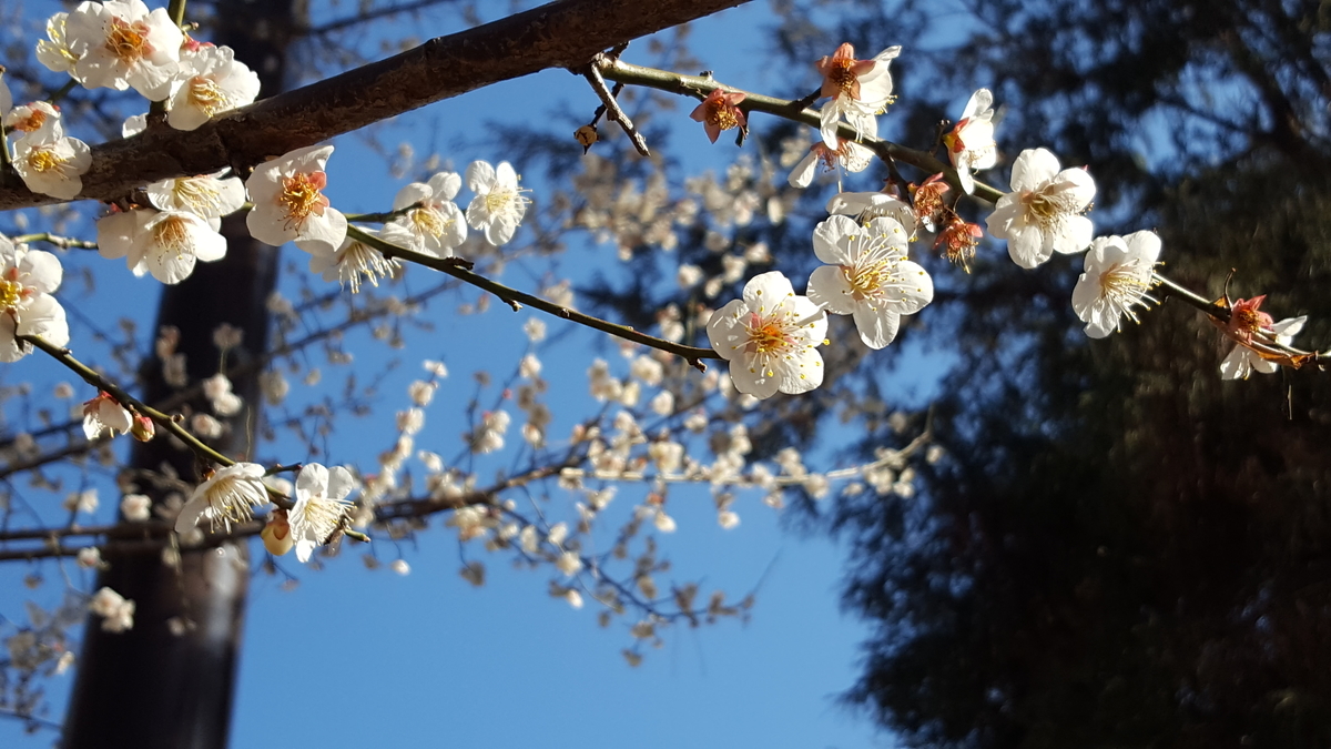 f:id:mainichi4:20210225173333j:plain