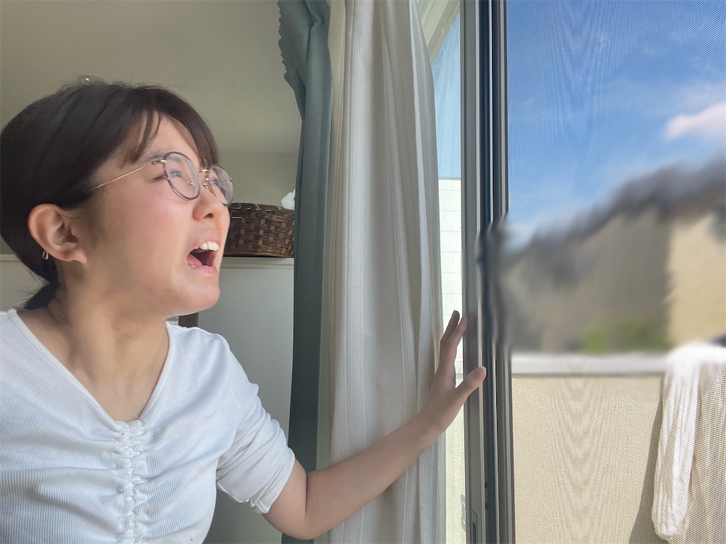 f:id:mainichi_kuso:20240601162223j:image