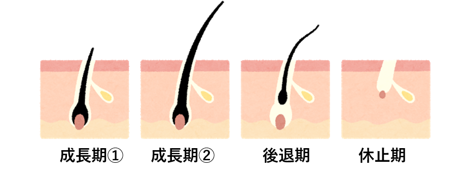 f:id:mainichiblog2020:20210310004404p:plain