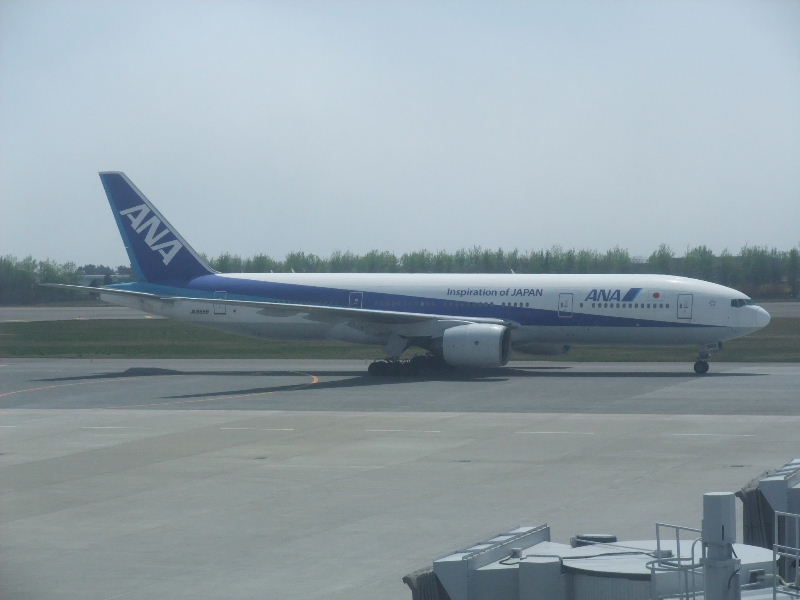 函館空港 桜早き春の海峡を越えて その7 毎日ヶ原新聞 函館空港 桜早き春の海峡を越えて その7 毎日ヶ原新聞