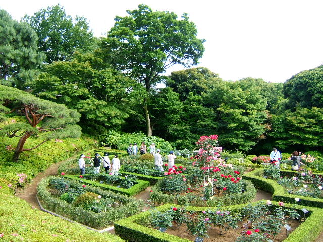 WELCOME TO THE ROSE GARDEN - 毎日ヶ原新聞